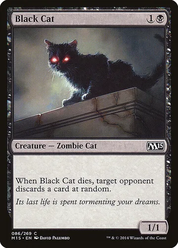 Black Cat 86