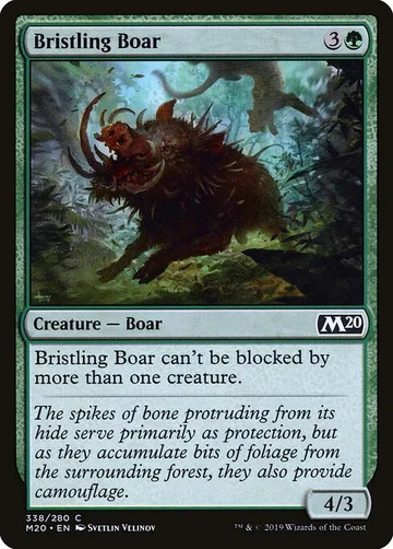 Bristling Boar 338