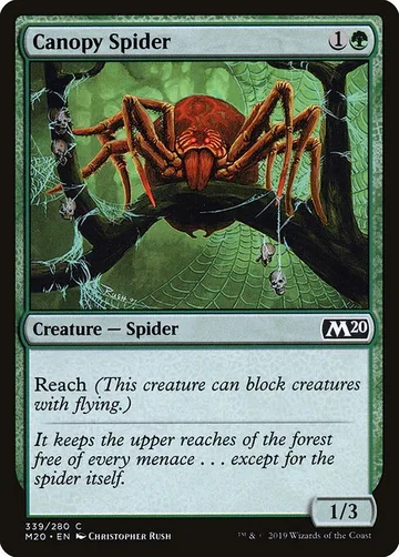 Canopy Spider 339