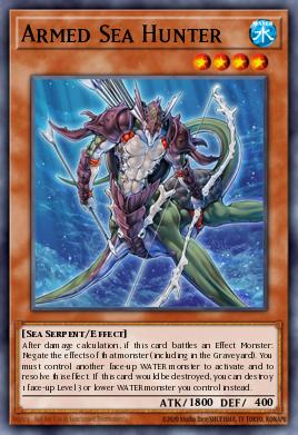 Cazador de Mar Armado ANPR-025