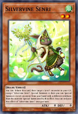 Silvervine Senri BACH-031
