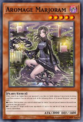 Arobruja Mejorana CHIM-018