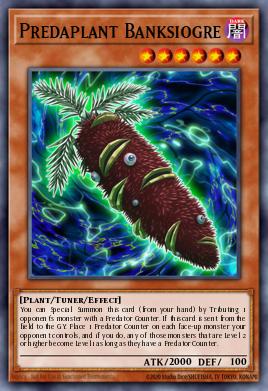 Predaplanta Banksiogro COTD-016
