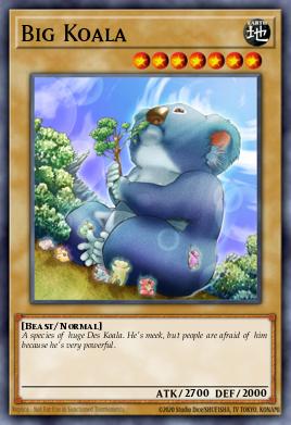 Gran Koala DR2-004