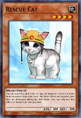 Gato Rescatador DUSA-072