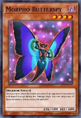 Morpho Maripospía GAOV-012