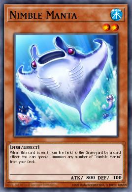 Manta Ágil