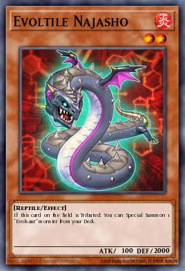 Najasho Evolutil