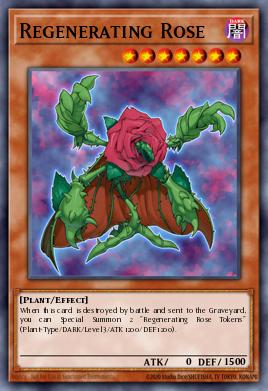 Rosa Regeneradora PTDN-005