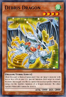 Dragón de Desechos RA03-214
