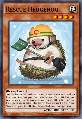 Erizo Rescatador ROTA-097