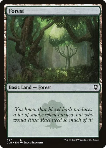 Forest 467