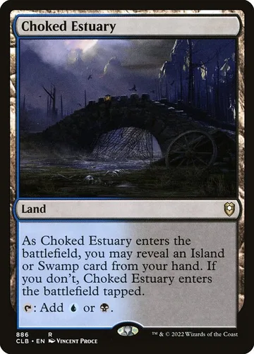 Choked Estuary 886