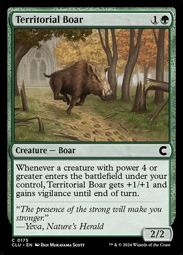 Territorial Boar 175