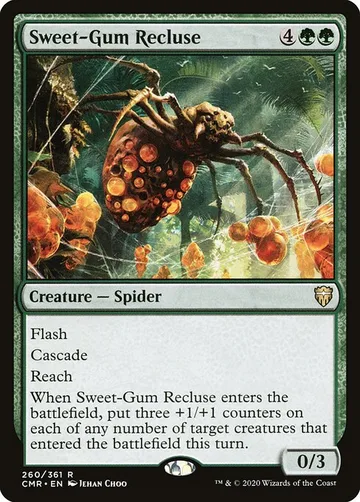 Sweet-Gum Recluse 260