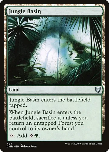 Jungle Basin 484