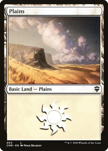Plains 504