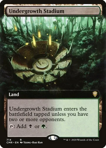 Undergrowth Stadium 714