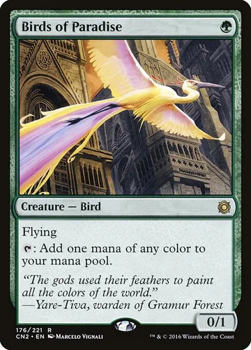 Birds of Paradise 176