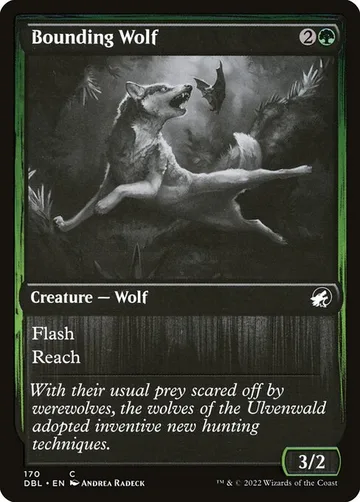 Bounding Wolf 170