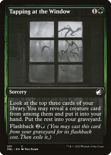 Tapping at the Window 201