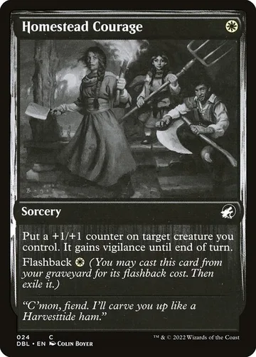 Homestead Courage 24