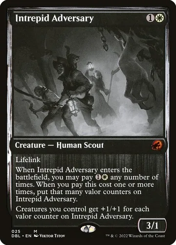 Intrepid Adversary 25