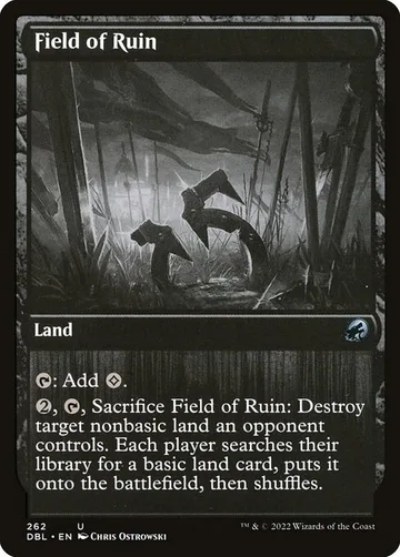 Field of Ruin 262