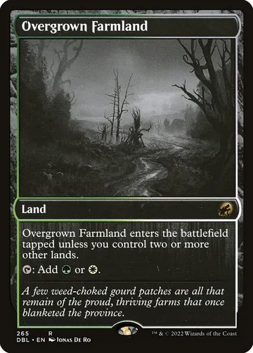 Overgrown Farmland 265