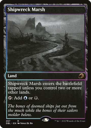 Shipwreck Marsh 267
