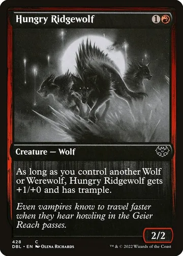 Hungry Ridgewolf 428