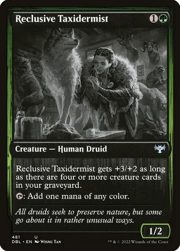 Reclusive Taxidermist 481