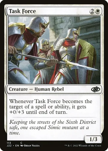 Task Force 113