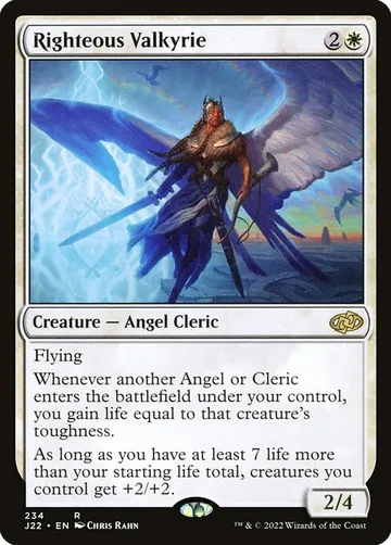 Righteous Valkyrie 234