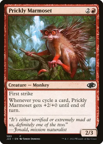 Prickly Marmoset 580