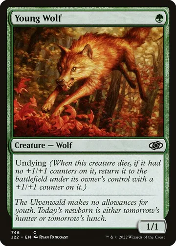 Young Wolf 746