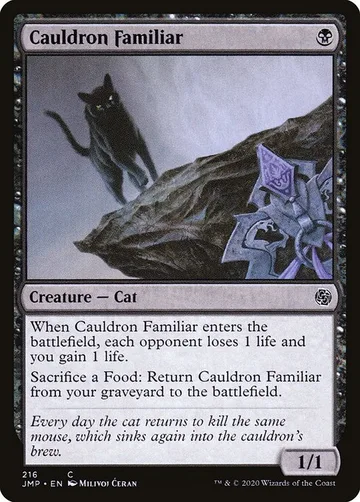Cauldron Familiar 216