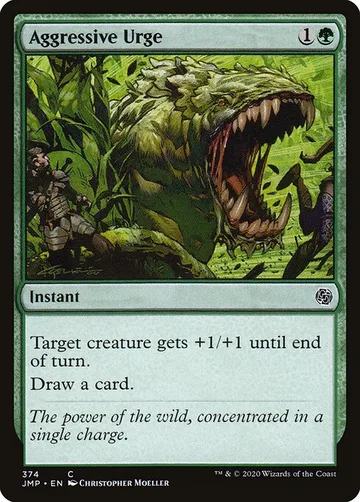 Aggressive Urge 374