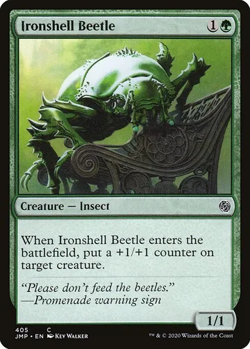 Ironshell Beetle 405