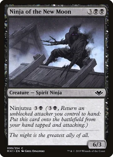 Ninja of the New Moon 99