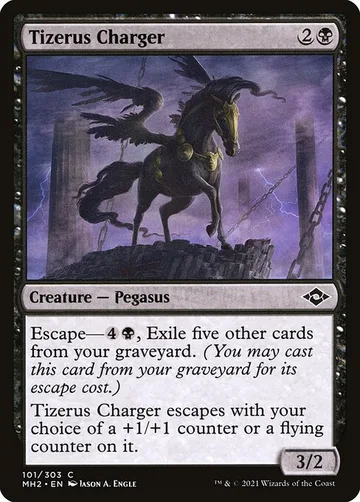 Tizerus Charger 101