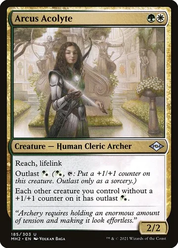 Arcus Acolyte 185