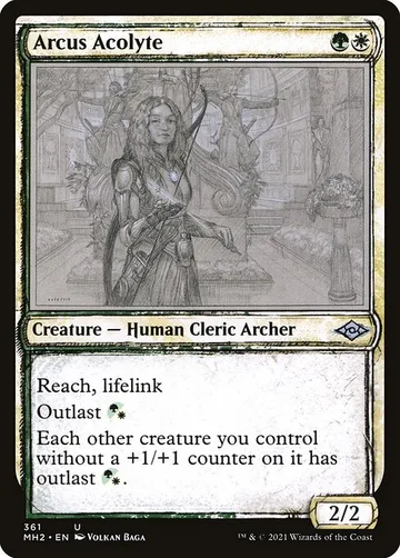 Arcus Acolyte 361