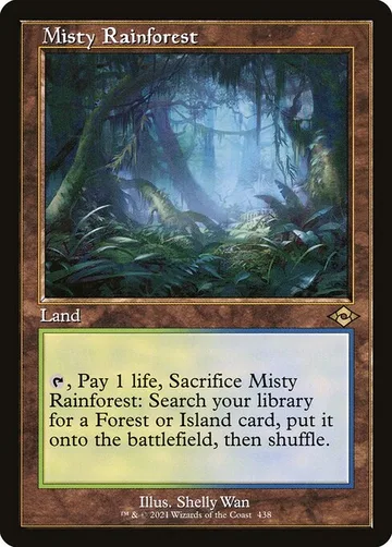 Misty Rainforest 438