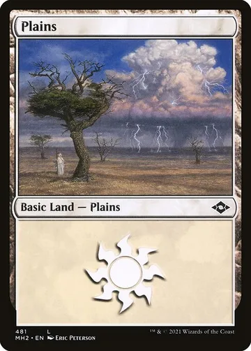 Plains 481