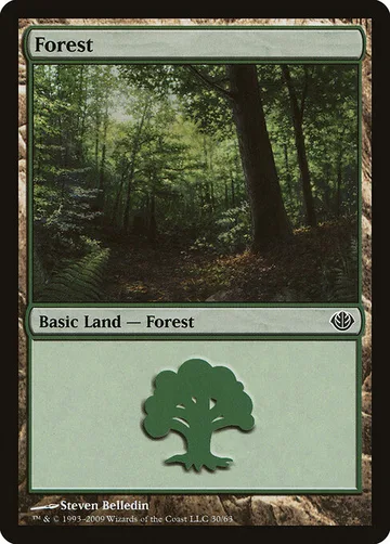 Forest 30