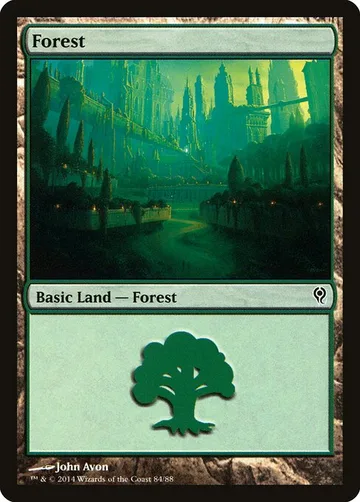 Forest