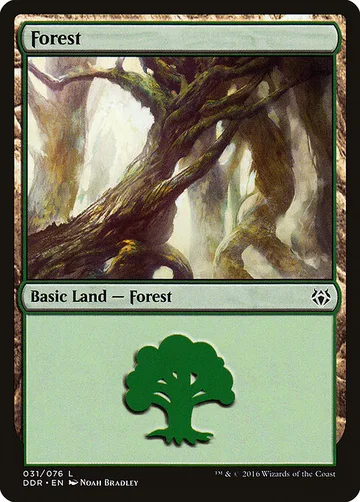 Forest 31