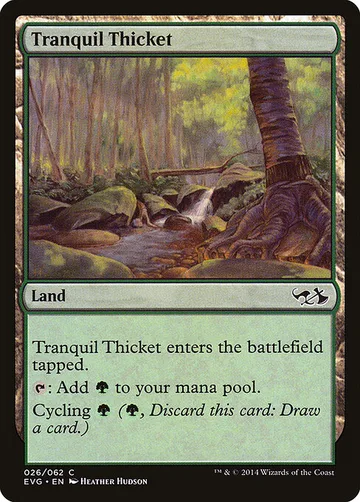 Tranquil Thicket 26