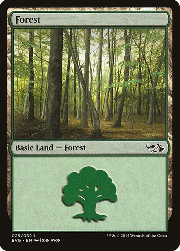 Forest 29